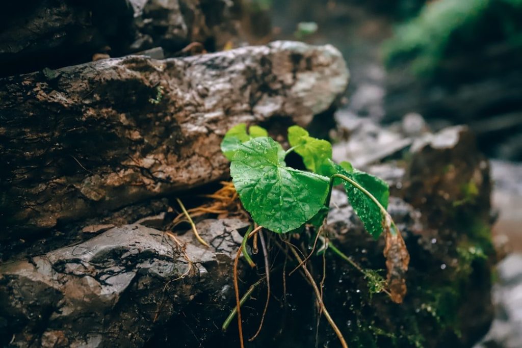 Sustainable Style: Eco-Friendly Picks