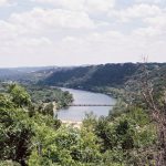 green trees near body of water during daytime